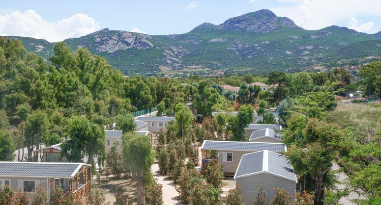 Campeggio In Corsica Calvi Haute Corse Ile Rousse