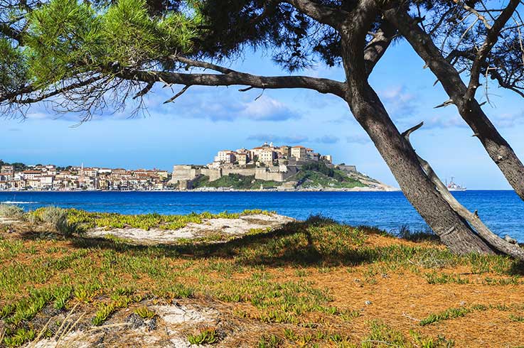 location mobile home Calvi
