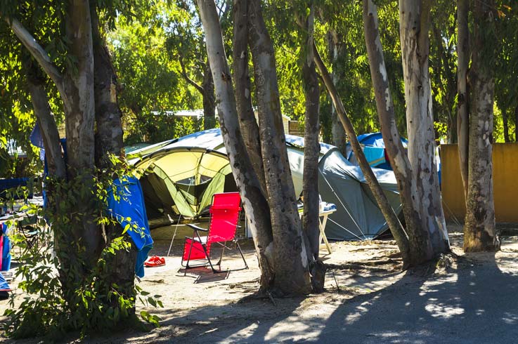 piazzola con albero da campeggio Ruote
