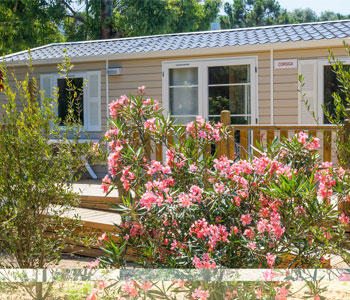 extérieur PMR camping Corse