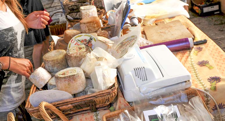 attività culturali di campeggio castoro