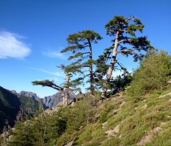 paysage calenzana près camping Corse