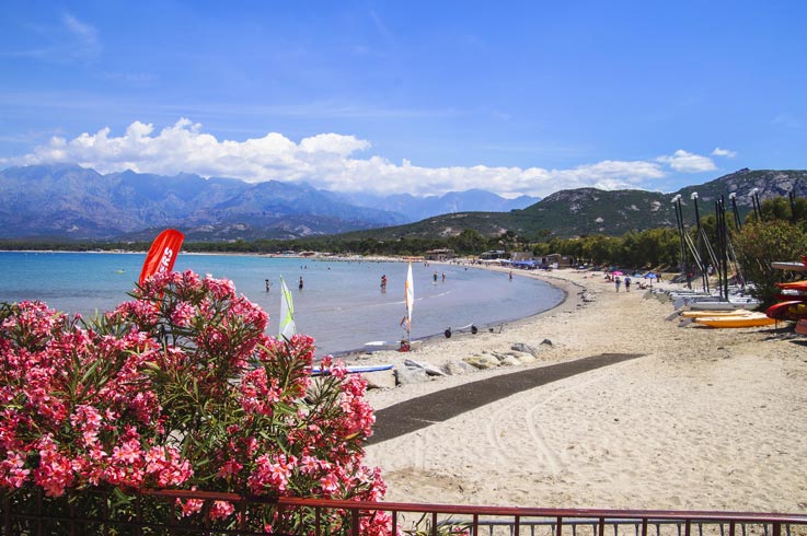 plage de calvi 
