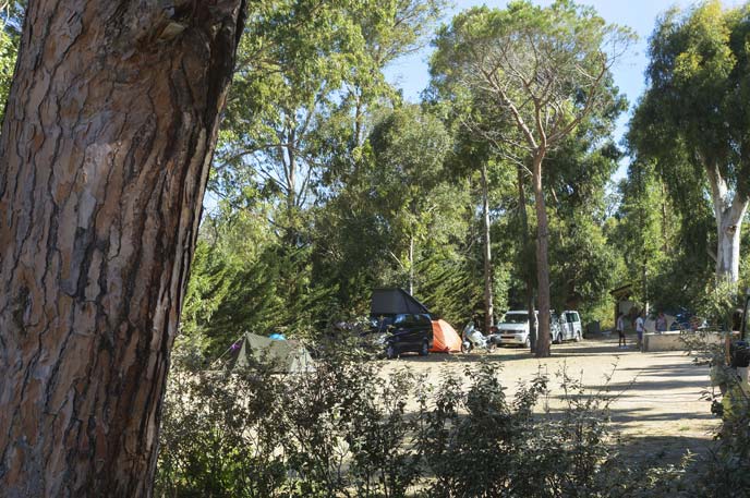 piscina del Camping Castors