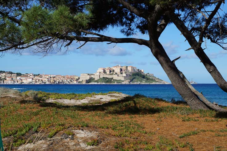 vista delle case calvi camping Beavers